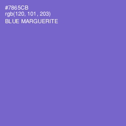 #7865CB - Blue Marguerite Color Image