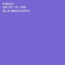 #7865D1 - Blue Marguerite Color Image