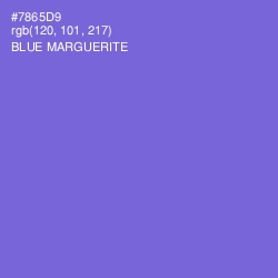 #7865D9 - Blue Marguerite Color Image