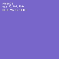 #7866CB - Blue Marguerite Color Image