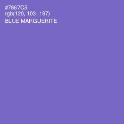 #7867C5 - Blue Marguerite Color Image