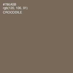 #786A5B - Crocodile Color Image