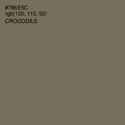 #786E5C - Crocodile Color Image