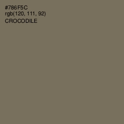 #786F5C - Crocodile Color Image