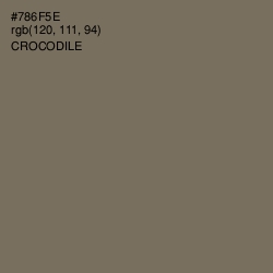 #786F5E - Crocodile Color Image