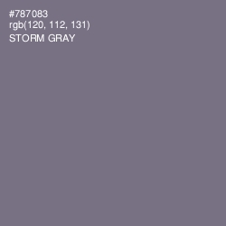 #787083 - Storm Gray Color Image