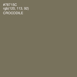 #78715C - Crocodile Color Image
