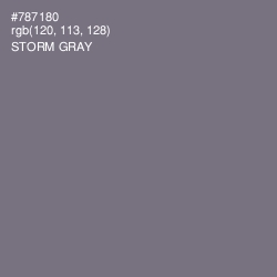 #787180 - Storm Gray Color Image