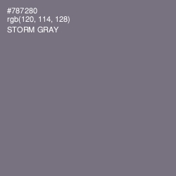 #787280 - Storm Gray Color Image
