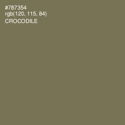 #787354 - Crocodile Color Image