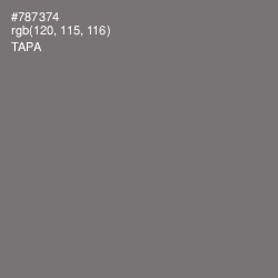 #787374 - Tapa Color Image