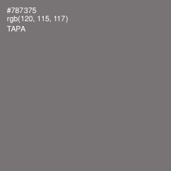 #787375 - Tapa Color Image