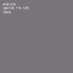 #787478 - Tapa Color Image