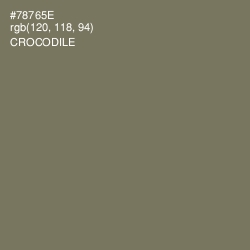 #78765E - Crocodile Color Image