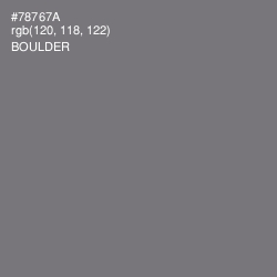 #78767A - Boulder Color Image