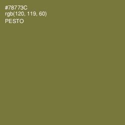 #78773C - Pesto Color Image
