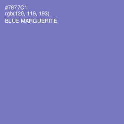 #7877C1 - Blue Marguerite Color Image