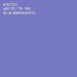 #7877C2 - Blue Marguerite Color Image