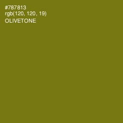 #787813 - Olivetone Color Image