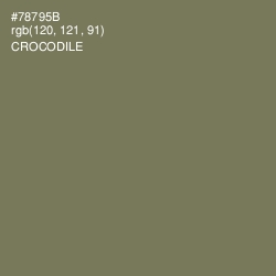 #78795B - Crocodile Color Image