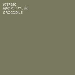 #78795C - Crocodile Color Image