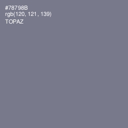 #78798B - Topaz Color Image