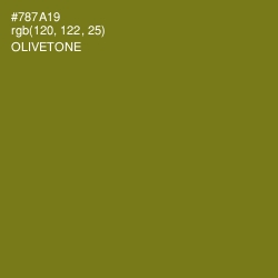 #787A19 - Olivetone Color Image