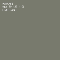 #787A6E - Limed Ash Color Image