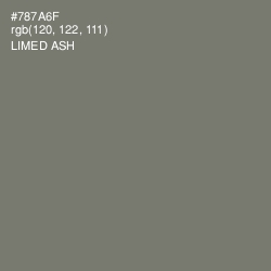 #787A6F - Limed Ash Color Image