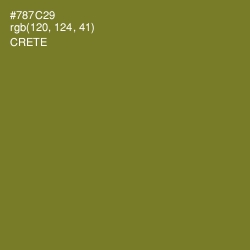 #787C29 - Crete Color Image