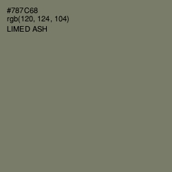 #787C68 - Limed Ash Color Image