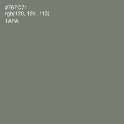 #787C71 - Tapa Color Image