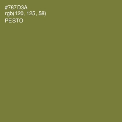#787D3A - Pesto Color Image