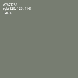 #787D72 - Tapa Color Image