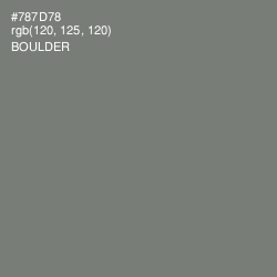 #787D78 - Boulder Color Image