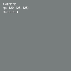 #787D7D - Boulder Color Image