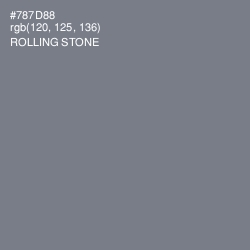 #787D88 - Rolling Stone Color Image