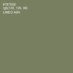#787E60 - Limed Ash Color Image