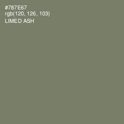 #787E67 - Limed Ash Color Image
