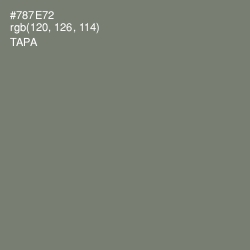 #787E72 - Tapa Color Image