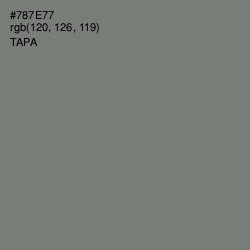 #787E77 - Tapa Color Image