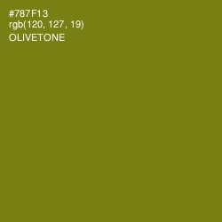 #787F13 - Olivetone Color Image