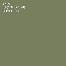 #787F5E - Crocodile Color Image