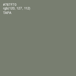 #787F70 - Tapa Color Image