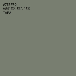 #787F70 - Tapa Color Image