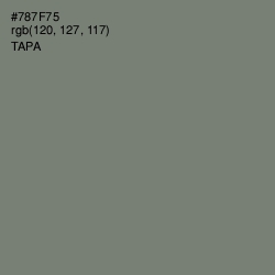 #787F75 - Tapa Color Image