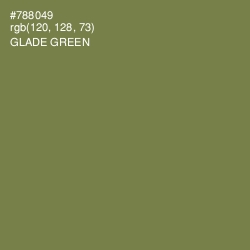 #788049 - Glade Green Color Image