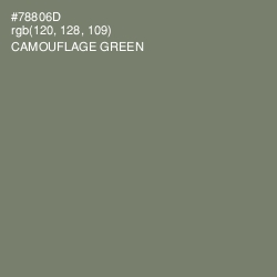 #78806D - Camouflage Green Color Image
