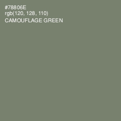 #78806E - Camouflage Green Color Image