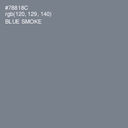 #78818C - Blue Smoke Color Image